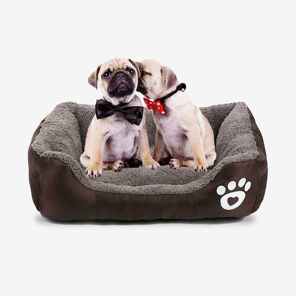 Produits pour animaux